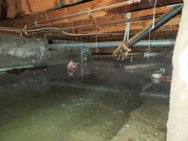 Best Flooded house restoration  in North Canton, OH