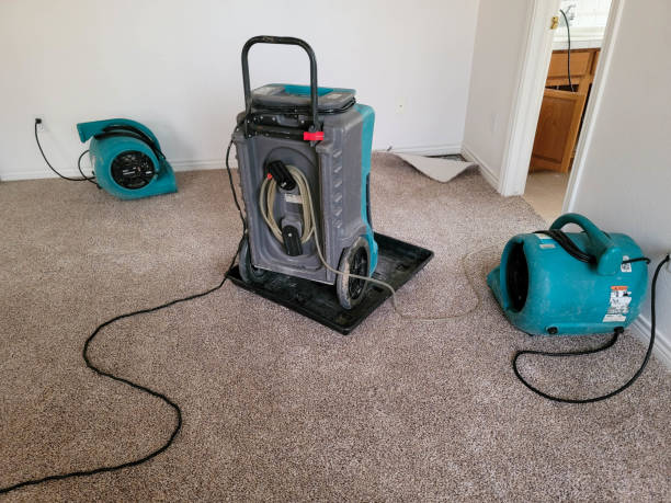 Best Water damage restoration near me  in North Canton, OH