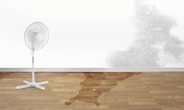 Best Emergency water damage restoration  in North Canton, OH