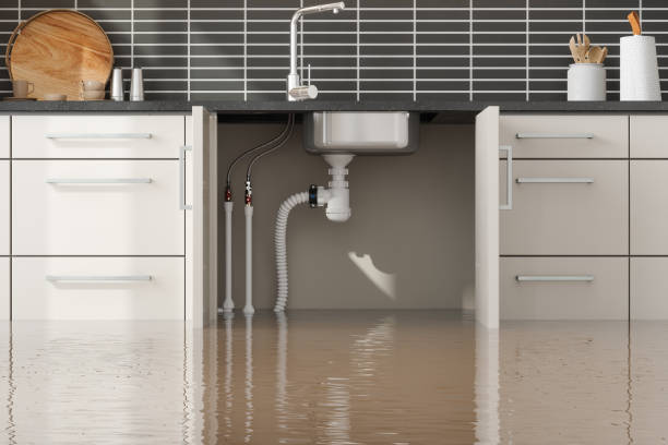 Best Commercial water damage restoration  in North Canton, OH